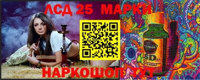 СК Краснодар