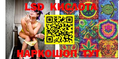 СК Краснодар