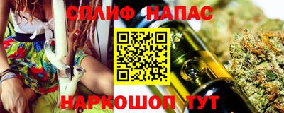 СК Краснодар